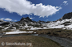 F068901: Kurve eines Wasserlaufs