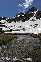 F068902: Berge und Bergbach
