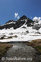F068907: Berge und Wasserlauf