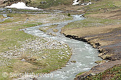 F068923: Hochebene mit Bergbächen