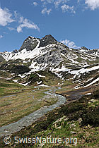 F068925: Hochebene mit Bergbach und Wasserläufen.