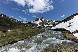 F068928: Bergbach in Ebene mit Berg im Hintergrund