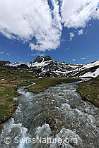 F068931: Hochebene mit Bergbächen