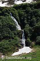 F068949: Wasserfall in grüner Berglandschaft
