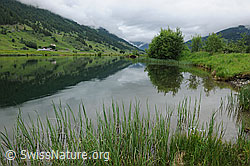 F069067: Geschinersee mit Spiegelung