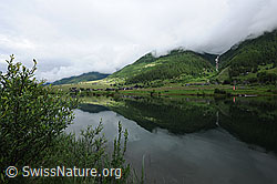 F069073: Geschinen und Geschinersee
