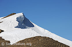 F069106: Grat mit Wechte