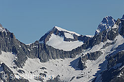 F069125: Studerhorn und Schreckhorn