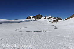 F069169: Zugefrorener See und weite Schneefläche