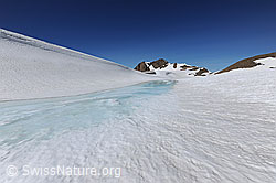 F069174: Eiswasser auf zugefrorenem See