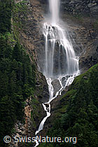 F069405: Wasserfall und Bergbach in Langzeitbelichtung
