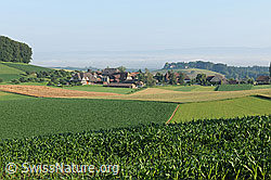 F069459: Bauerndorf umgeben von Kulturland