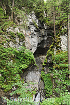 F069529: Pflanzen in Felswand einer Schlucht