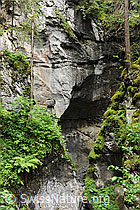 F069530: Felswand in Schlucht