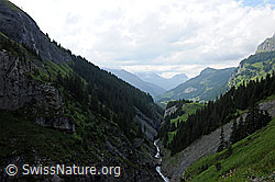 F069577: V-Tal mit Bergbach (Gamchibach)