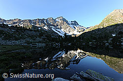 F069954: Morgenstimmung am Bergsee