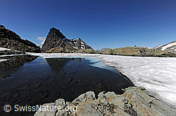 F070030: Auftauender Bergsee mit Spiegelung