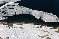 F070038: Wanderer auf Schneefeld