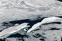 F070040: Eisdecke und Eisschollen