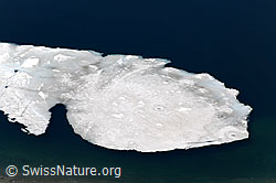 F070043: Eisscholle im blauen Wasser