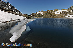 F070056: Eisscholle im Geisspfadsee
