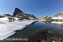 F070066: Eisscholle auf Bergsee