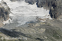 Foto: Sidelengletscher