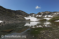 F070171: Schwärziseeli (Unterster Bergsee), Ursern Innerschweiz