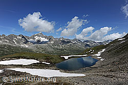 F070191: Galenstock und Schwärziseeli