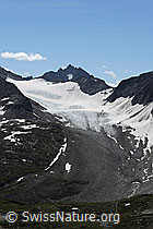 Photo: Mutten Glacier and Pizzo Rotondo