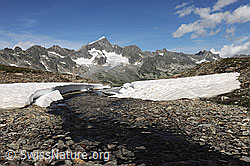 F070237: Galenstock und Bergbach