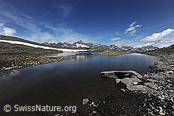 F070242: Seelandschaft Schwärziseeli (Oberster Bergsee)
