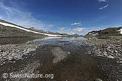 F070249: Schwemmlandschaft und Schwärziseeli (Oberster Bergsee)