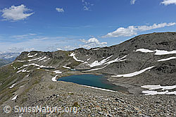 F070268: Stotzigen Firsten mit den drei Schwärziseeli