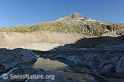 F070474: Morgenstimmung am Rhonegletscher