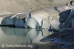 F070514: Gletschereis mit Spiegelung im Gletschersee
