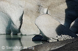 F070520: Gletscherrand und Eisklotz im Gletschersee