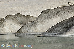 F070523: Ausläufer von Gletschereis im Gletschersee