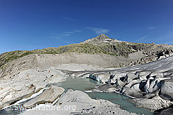 F070555: Gletschersee an der Zunge des Rhonegletschers