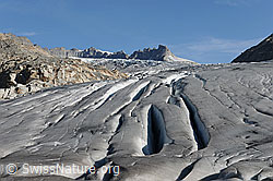 F070557: Längsspalten in der Zunge des Rhonegletschers