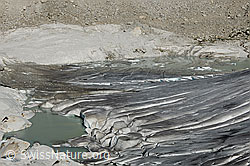 F070565: Fjordsee am Rhonegletscher