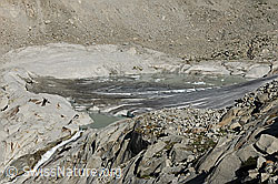 F070569: Rottensee und Gletscherzunge des Rhonegletschers