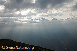 F070590: Lichtstimmung im Gebirge