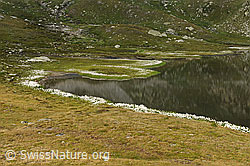 F070602: Spiegelung im Jostsee