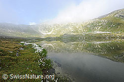 F070605: Am Ufer des spiegelnden Jostsee