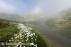 F070610: Nebelstimmung über Bergsee