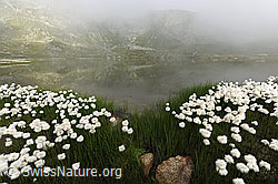F070621: Geheimnisvolle Wolkenstimmung am Jostsee