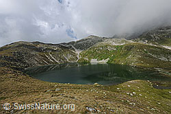 F070650: Rundsee, Obergoms