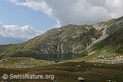 F070673: Rundsee im Sommer