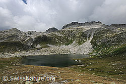 F070685: Lengsee und Gross Sidelhorn